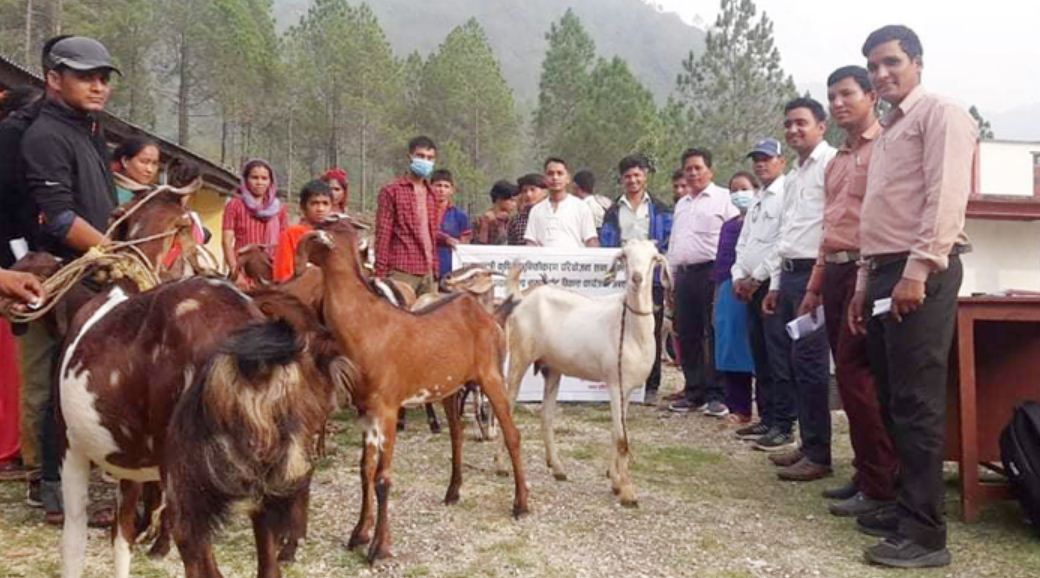 सल्यान बनगाडका कृषकलाई बाख्रा 